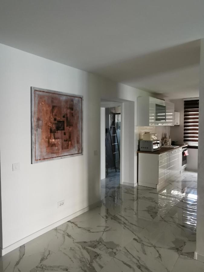 Excellent Time Apartment Belgrade